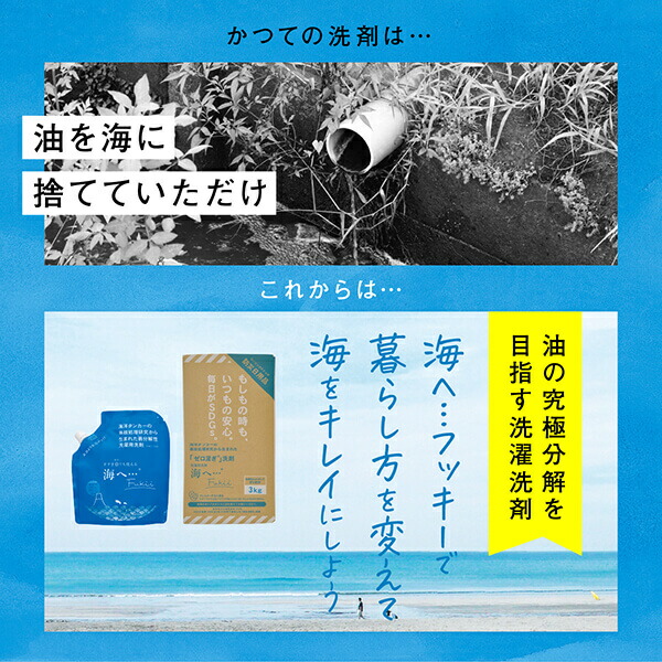 がんこ本舗 海へ 洗剤 海へ…Fukii 詰替パック380g 3個 千年ボトル１本セット がんこ本舗 送料無料_2