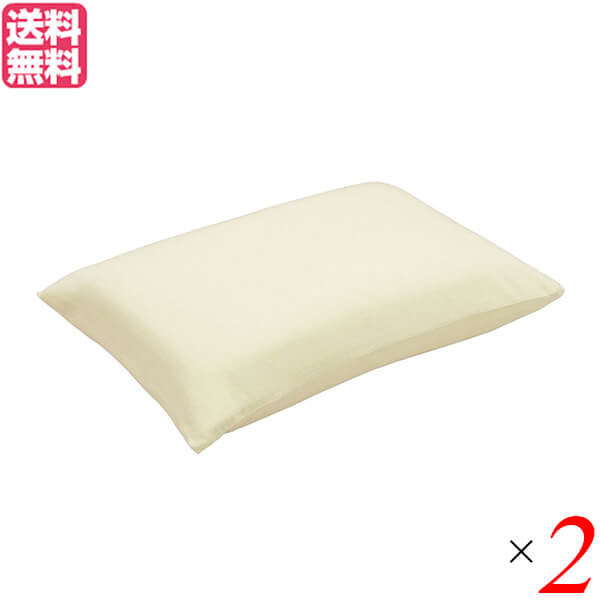 【当店ポイント5%+日曜5%】ゼンケン キュービックボディ枕+消臭枕カバー S-NPC-050-LB 2個セット 送料無料