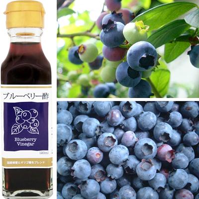 【尖んがり最高限度+11%！】6周年！お酢 ドリンク 飲む ブルーベリー酢 120ml TAC21 12個仕かける
