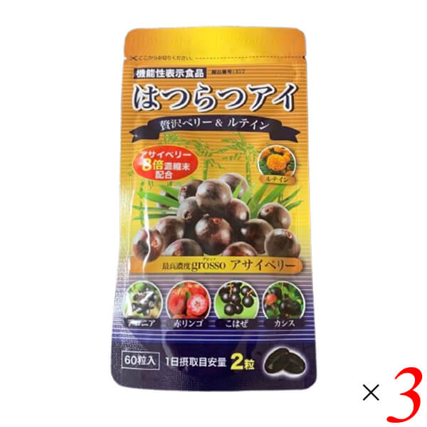 ヨガとピラティス 本 ラバ LAVA HAKKAN stick 10本 セット