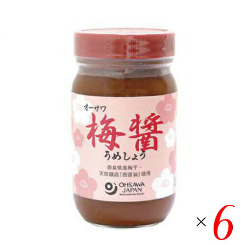 【ポイント最大+11%！】6周年！梅醤 練り梅 うめびしお オーサワ 梅醤（うめしょう） 250g ６個セット