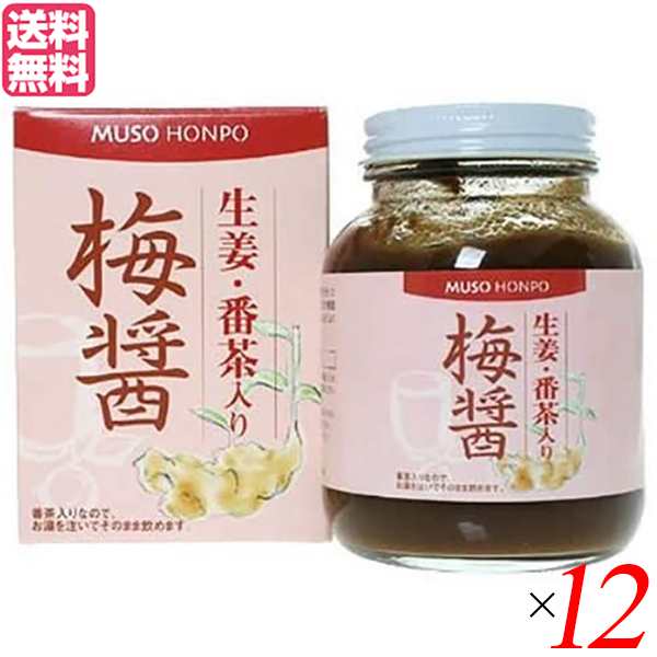 梅醤 梅びしお 梅醤番茶 ムソー 無双本舗 生姜 番茶入り梅醤 ２５０ｇ 12個セット 送料無料