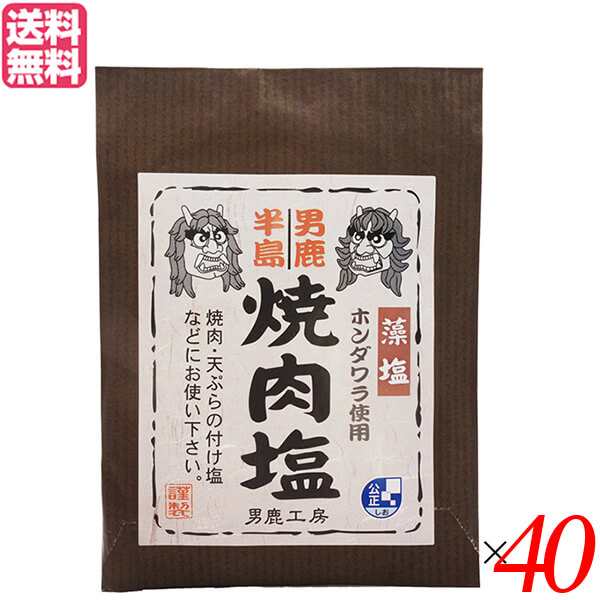 塩 天然塩 食塩 男鹿半島 焼肉塩 40g 40個セット 男鹿工房 送料無料