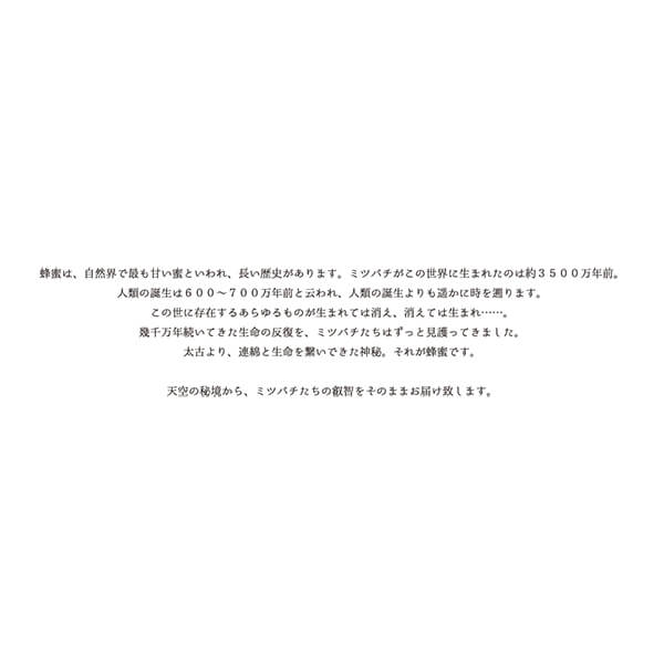 はちみつ ハチミツ ハニー 森羅万象 天山蜂蜜 600g 2個セット 送料無料_4