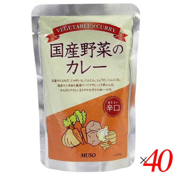 【ポイント最大+7%】超超祭！カレー 国産 辛口 ムソー 国産野菜のカレー辛口 200g 40個セット 送料無料