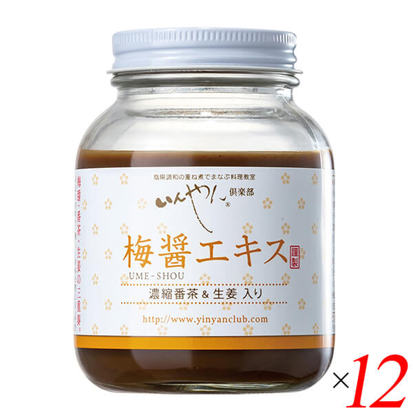 【ポイント最大+7%】超超祭！梅梅醤エキス 濃縮番茶＆生姜入り 250g 12個セット いんやん倶楽部