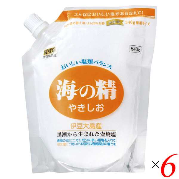 塩 天然塩 天日 海の精 やきしお（スタンドパック）540g 6個セット 送料無料