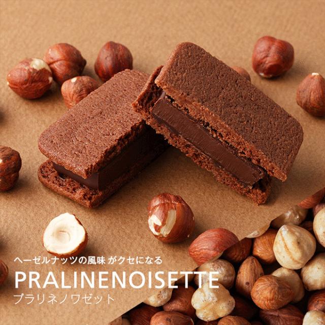 ギフト チョコレート ショーコラ8個入(送料込) チョコ スイーツ