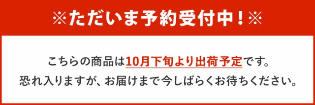 ぽっきり 1000円 割れチョコ 3種 ミックス [ イチゴ ミルク クランチ ビター コーンフレーク ] 300g 訳あり 送料無料 チョコ  スイーツの通販はau PAY マーケット - ひものや