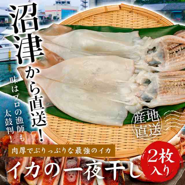 干物 イカ 2枚 セット 一夜干し いか 大型 おつまみ ギフト グルメ 食品 プレゼント ご当地 沼津 詰め合わせの通販はau Pay マーケット ひものや