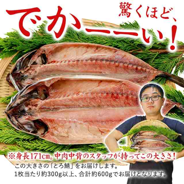 干物 送料無料 とろさば 2枚セット 鯖の干物 サバ 鯖 詰め合わせ グルメ ギフト プレゼントの通販はau Pay マーケット ひものや