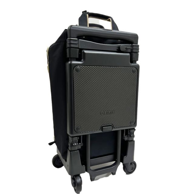 スワニー キャリーバッグ ビジネスバッグ 機内持ち込み ユニセックス