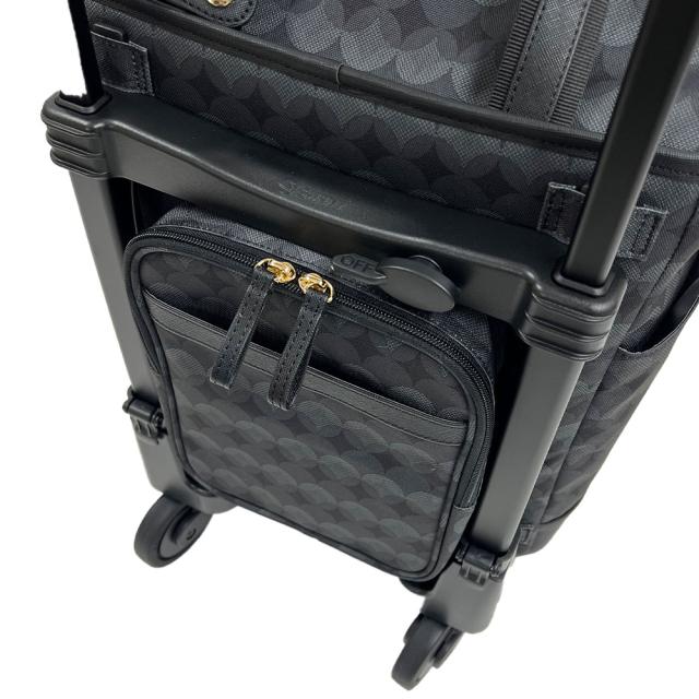 スワニー キャリーバッグ SWANY リンゴ M18 Mサイズ ショッピング