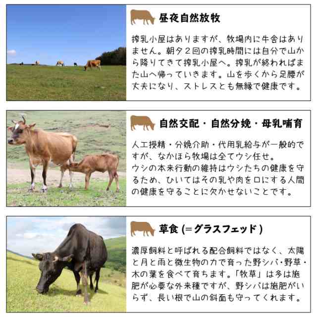 国産 グラスフェッドビーフ 角切り 500g 放牧 牛肉 赤身肉 牧草牛 放牧牛 お取り寄せ 冷蔵 冷凍可 の通販はau Pay マーケット なかほら牧場