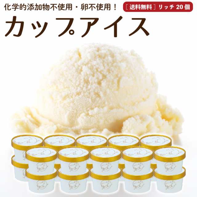母の日  ギフト プレミアム アイスクリーム 20個 送料無料 無添加 生クリーム 詰め合わせ スイーツ 卵不使用 プレゼント お取り寄せ ［冷凍］の通販はセット・詰め合わせ