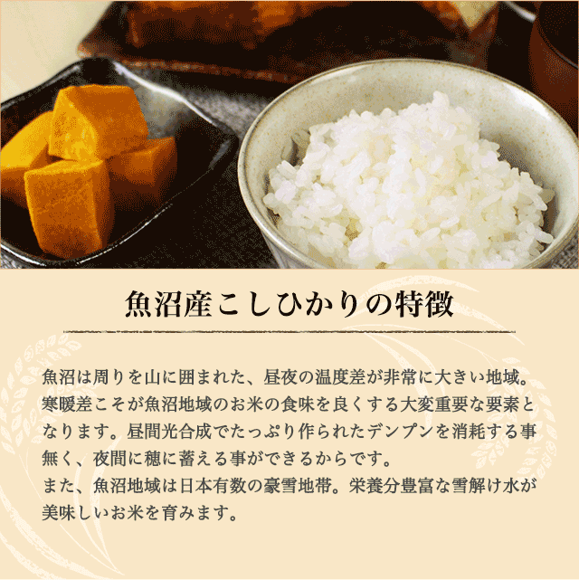 PAY　新潟県　プランニングフーズ　au　お米　新米　の通販はau　令和5年度産　4kg　4キロ　魚沼産　送料無料　PAY　こしひかり　マーケット　マーケット－通販サイト