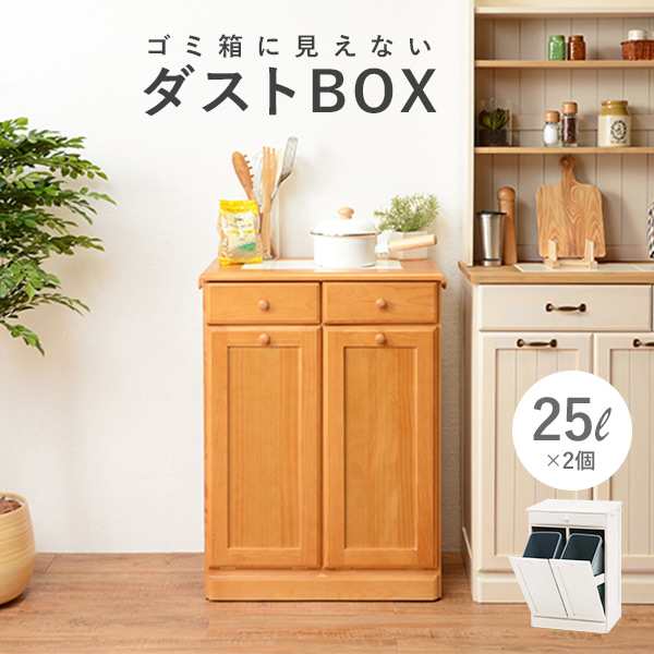 25L×2分別◆完成品◆ごみ箱に見えないおしゃれなダストボックス キッチン家具