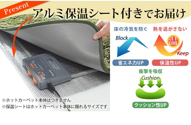ホットカーペット２畳相当　洗えるカバー付 ホットカーペットカバー 2畳 洗える（広電）のおすすめ人気商品