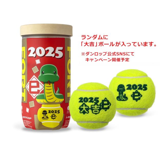 即日出荷』ダンロップ DUNLOP テニステニスボール 干支ボール