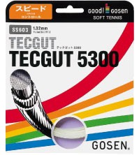 「■5張セット」GOSEN（ゴーセン）「テックガット5300」ss603ソフトテニスストリング（ガット）【KPI】