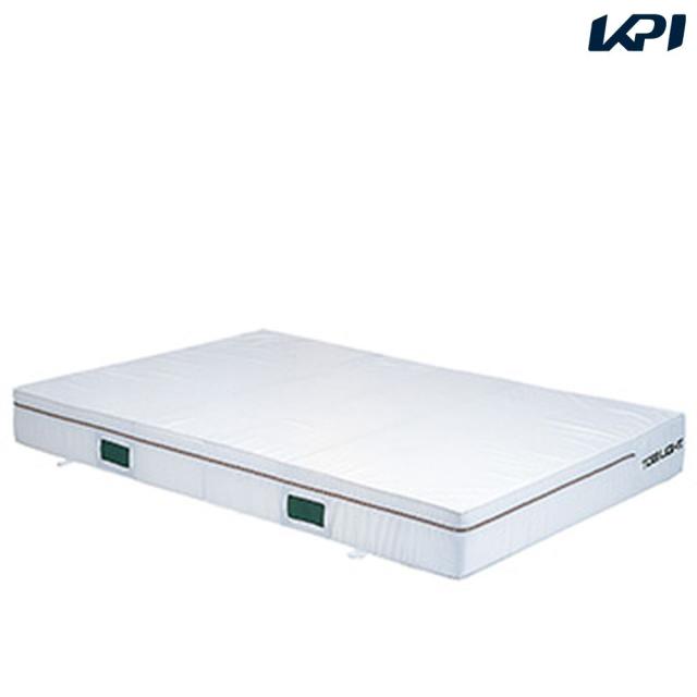 トーエイライト TOEI LIGHT 学校機器設備用品  白・普通１．５×２×０．２カバー G2010A【タイムセール】