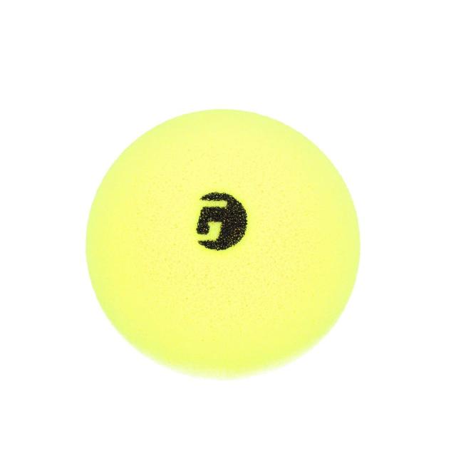 ガンマ GAMMA ピックルボールボール PICKLEBALL LIBRARIAN FOAM BALL
