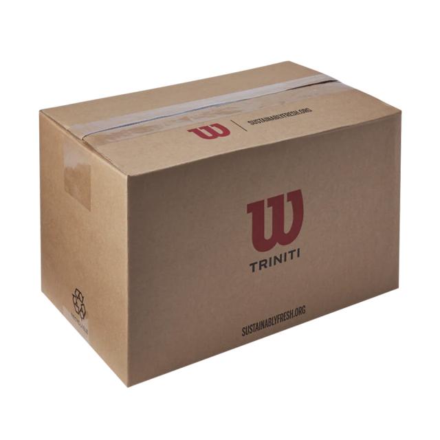 【SDGsプロジェクト】ウイルソン Wilson テニス 硬式テニスボール TRINITI CLUB TBALL トリニティ クラブ テニスボール 1箱（72球入） WR8201501001_2