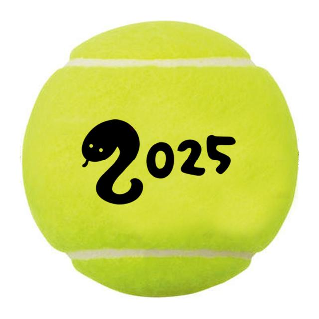 YONEX TOUR PLATINUM テニスボール 15缶セット ウインザーオンラインショップヨネックス ツアープラチナム 1箱 5