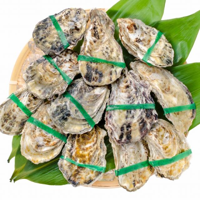 送料無料 殻付き 生食用カキ 生牡蠣 24個入り 冷凍殻付き牡蠣 生食用 新製法で冷凍なのに生食可能な殻付き牡蠣 冷凍 生ガキ かき カキ の通販はau Pay マーケット うにカニまぐろなら築地の王様