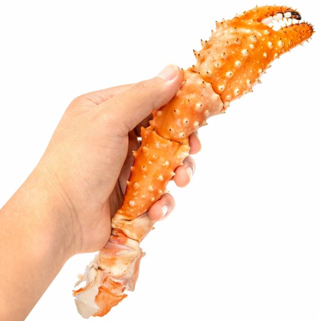ゴールデンキングクラブ 2kg タラバガニにも負けない旨味 タラバガニ科 イバラガニ 5Lサイズ 冷凍総重量 1kg前後 ×2肩 正規品 ボイル冷凍 足 肩セクション かに カニ 蟹 シュリンク包装 豊洲市場 カニ鍋 焼きガニ ギフト 贈答用 お歳暮 単品おせち 海鮮おせち_9