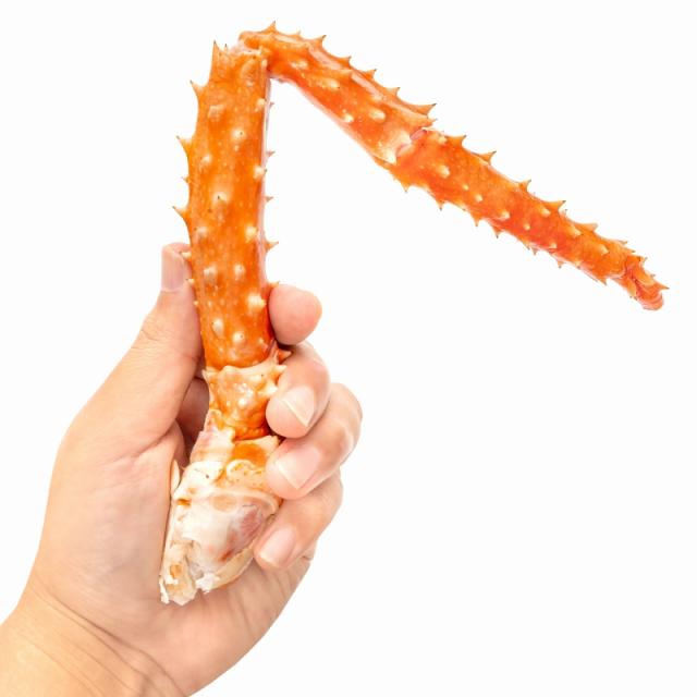 ゴールデンキングクラブ 2kg タラバガニにも負けない旨味 タラバガニ科 イバラガニ 5Lサイズ 冷凍総重量 1kg前後 ×2肩 正規品 ボイル冷凍 足 肩セクション かに カニ 蟹 シュリンク包装 豊洲市場 カニ鍋 焼きガニ ギフト 贈答用 お歳暮 単品おせち 海鮮おせち_10