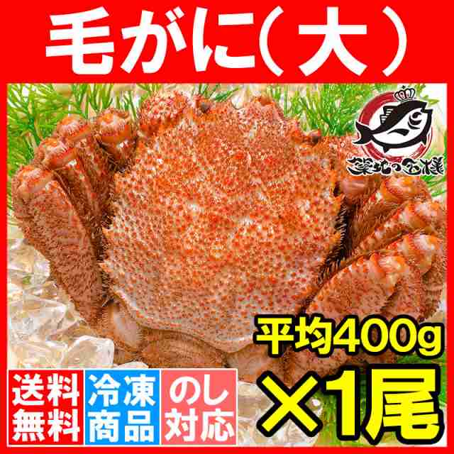 送料無料 毛ガニ 毛蟹 浜茹で毛がに姿 平均400g前後 1尾 ボイル 冷凍 北海道産 最高級 堅蟹 かに カニ 蟹 かに味噌 カニ味噌 カニ鍋 の通販はau Pay マーケット うにカニまぐろなら築地の王様