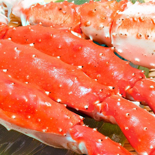 タラバガニ たらばがに 超極太7Lサイズ 冷凍総重量1.3kg前後×1肩  正規品 ボイル冷凍 足 肩セクション シュリンク包装 【タラバ たらば かに カニ 蟹 たらば蟹 タラバ蟹 豊洲 カニ鍋 焼きガニ 脚 贈答用】_5