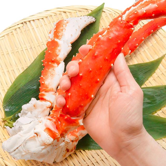 タラバガニ たらばがに 超極太7Lサイズ 冷凍総重量1.3kg前後×1肩  正規品 ボイル冷凍 足 肩セクション シュリンク包装 【タラバ たらば かに カニ 蟹 たらば蟹 タラバ蟹 豊洲 カニ鍋 焼きガニ 脚 贈答用】_8
