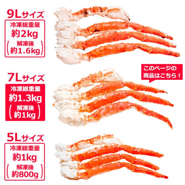 タラバガニ たらばがに 超極太7Lサイズ 冷凍総重量1.3kg前後×1肩  正規品 ボイル冷凍 足 肩セクション シュリンク包装 【タラバ たらば かに カニ 蟹 たらば蟹 タラバ蟹 豊洲 カニ鍋 焼きガニ 脚 贈答用】_2