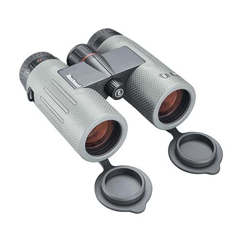 双眼鏡 Bushnell ニトロ10x36 BN1036G