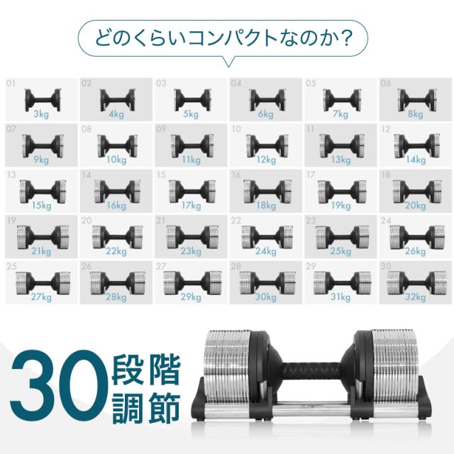 2024年新モデル】 ライシン ヘリックスミラー 1kg刻み 32kg 2個
