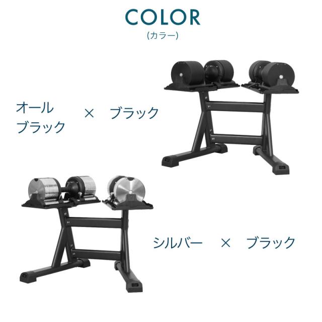 ライシン ヘリックスミラー 1kg刻み 40kg 2個 スタンドPro ベンチ