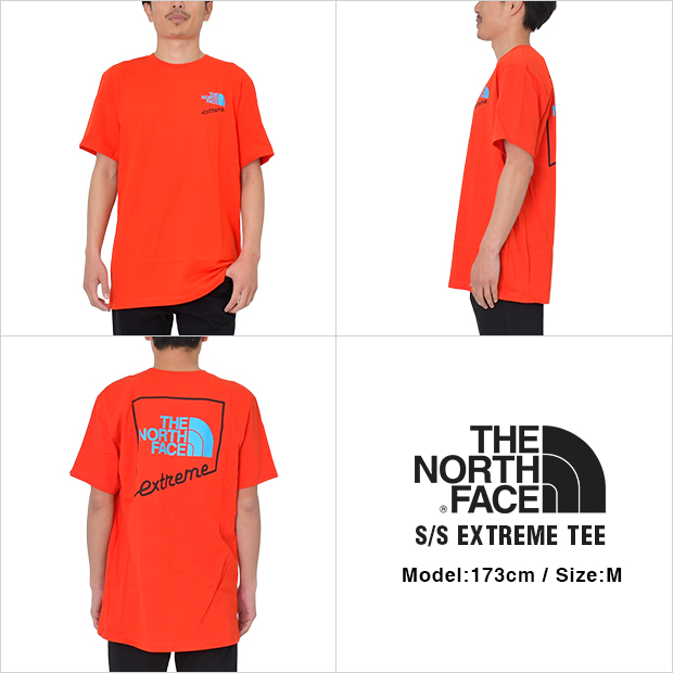 ノースフェイス Tシャツ The North Face Extreme Tee メンズ レディース 大きいサイズの通販はau Pay マーケット Bigg Willie