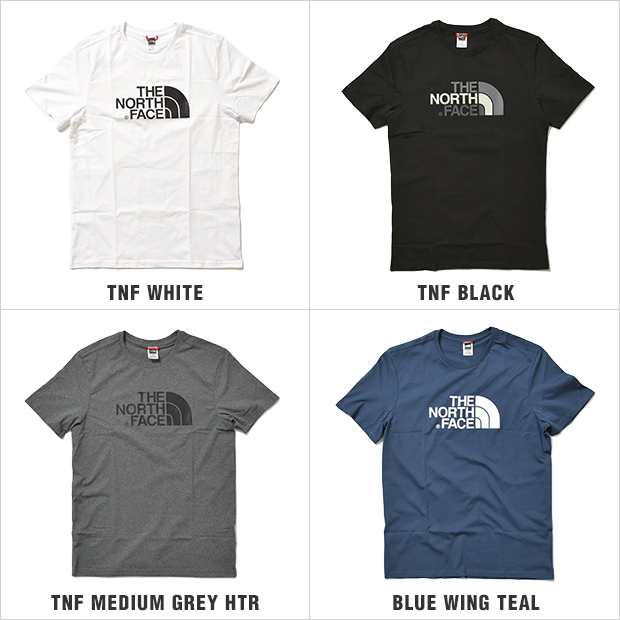 ノースフェイス Tシャツ The North Face Easy Tee メンズ レディース 大きいサイズの通販はau Pay マーケット Bigg Willie