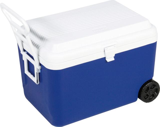 ゼット学校体育 アウトドア 【メーカー直送品】 ホイールクーラー 60L クーラーボックス 保冷 夏 バーベキュー 体育祭 お祭り 海 プール 熱中症対策 飲み物 スポーツ大会 部活  ZR301