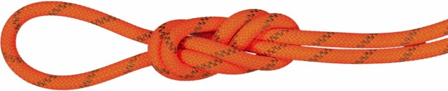 MAMMUT マムート アウトドア 8．0 Alpine Dry Rope 2010−04350 201004350B 11238