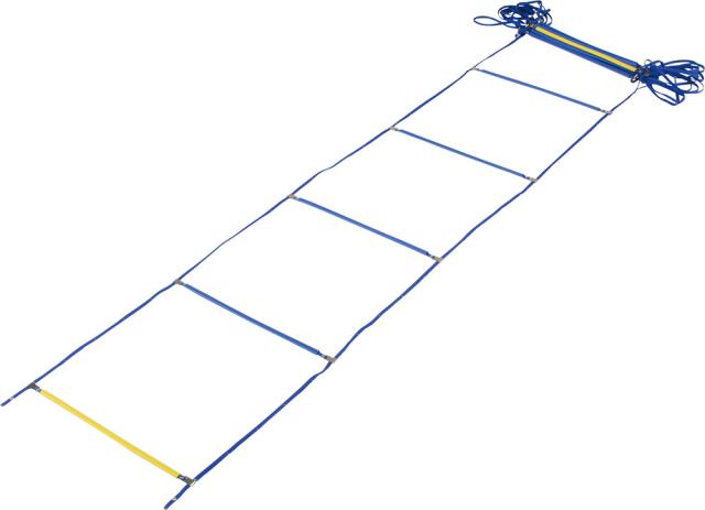 ダンノ DANNO ダンノトレーニングラダーDX トレーニング ラダー サッカー 野球 基礎トレーニング アップ バスケ ラグビー フットサル フットワーク ラダートレーニング  D348の通販は 10,560円