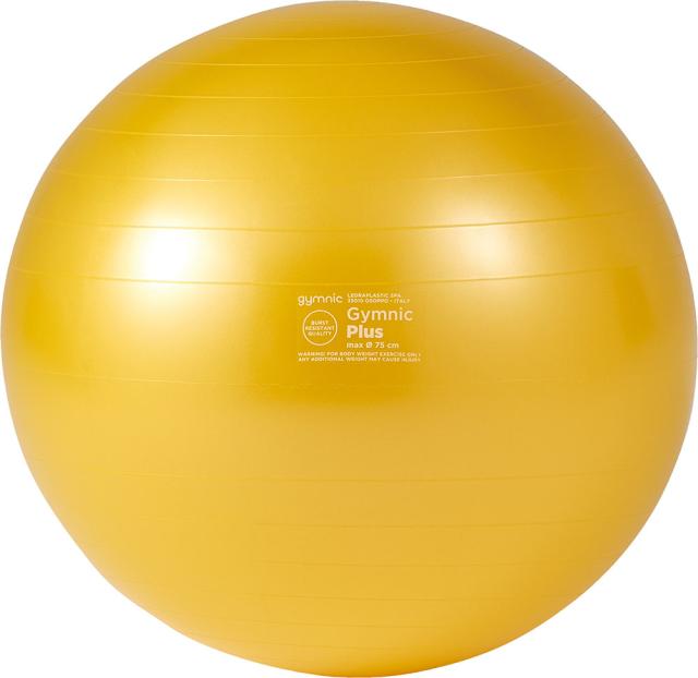 ダンノ DANNO ギムニクカラーボールPLUS 75 イエロー 黄 ギムニク ギムニクボール バランスボール ながら運動 バランストレーニング 体幹トレーニング 体幹 筋トレ  D5423Y