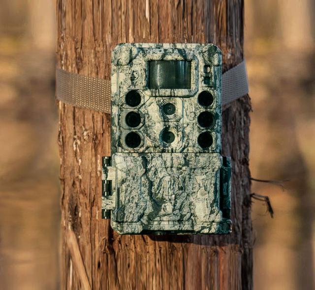 ブッシュネル Bushnell アウトドア 屋外型センサーカメラ トロフィー