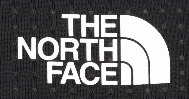 ザ・ノース・フェイス THE NORTH FACE アウトドア エクスペディションショートスリーブドライドットクルー メンズ レディース 半袖 Tシャツ トップス シンプル 運動 トレーニング ロゴ入り ポリエステル NT12524_7
