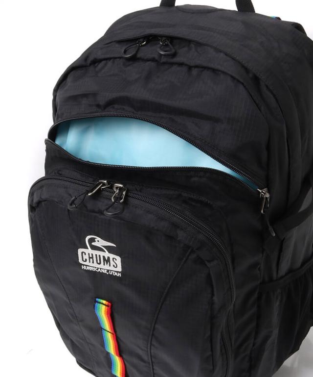 アウトドア スプリングデール30 デイパック リュック メンズ レディース バッグ ナイロン ウエストポーチ ポケット ハイドレーション対応 登山 30L 通学 通勤 旅行  CH603998 アウトドア スプリングデール30 デイパック リュック メンズ