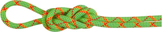マムート MAMMUT アウトドア 8.0ALPINECOREPROTECTDRYROPE70M ロープ ハイキング トレッキング クライミング 登山 マウンテニアリング 2010-05090 201005090