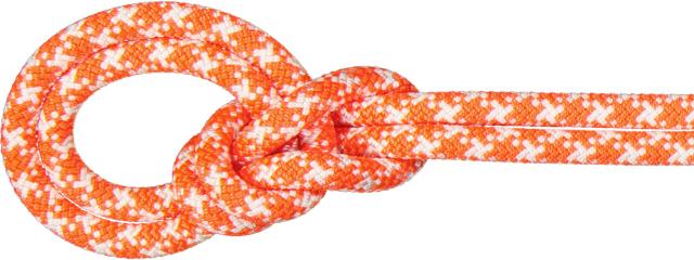 マムート MAMMUT アウトドア 9.5CRAGCLASSICROPE50M ロープ シングル ハイキング トレッキング クライミング 登山 マウンテニアリング クラッグ 2010-05610  201005610