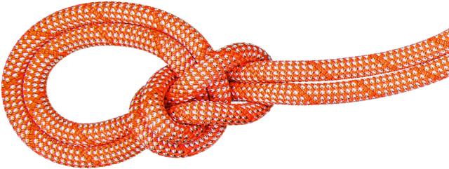 マムート MAMMUT アウトドア 9.8CRAGCLASSICROPE60M ロープ シングル ハイキング トレッキング クライミング 登山 オールラウンド クラシック 2010-05860  201005860